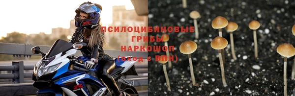 меф Алексин
