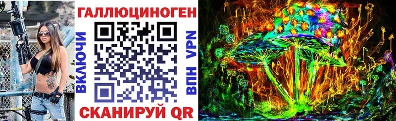 Псилоцибиновые грибы Psilocybe  Владивосток 